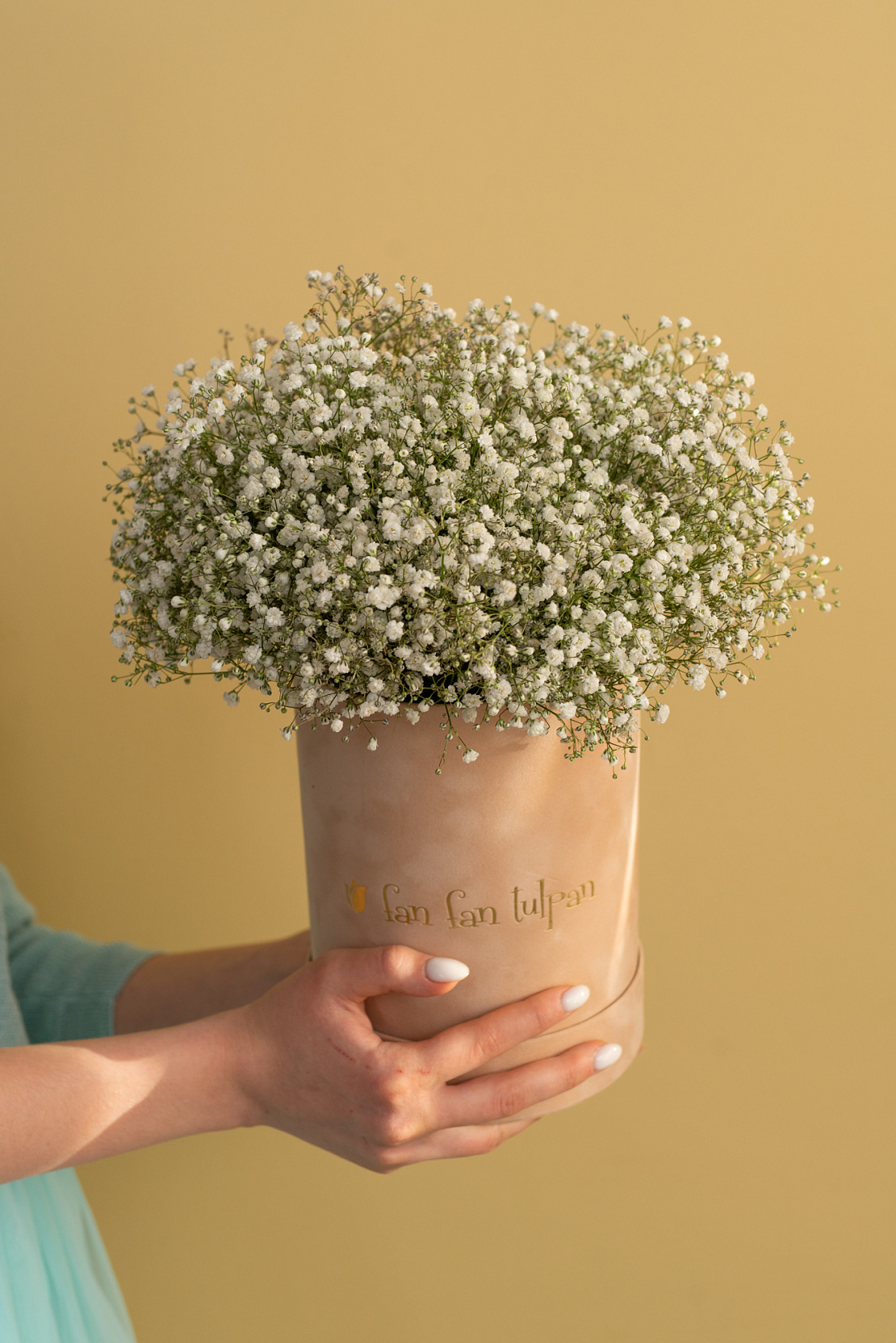 Коробка с гипсофилой Облако Любви