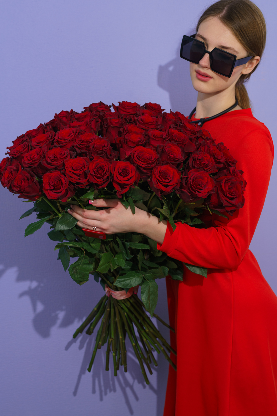 Розы Красные Explorer